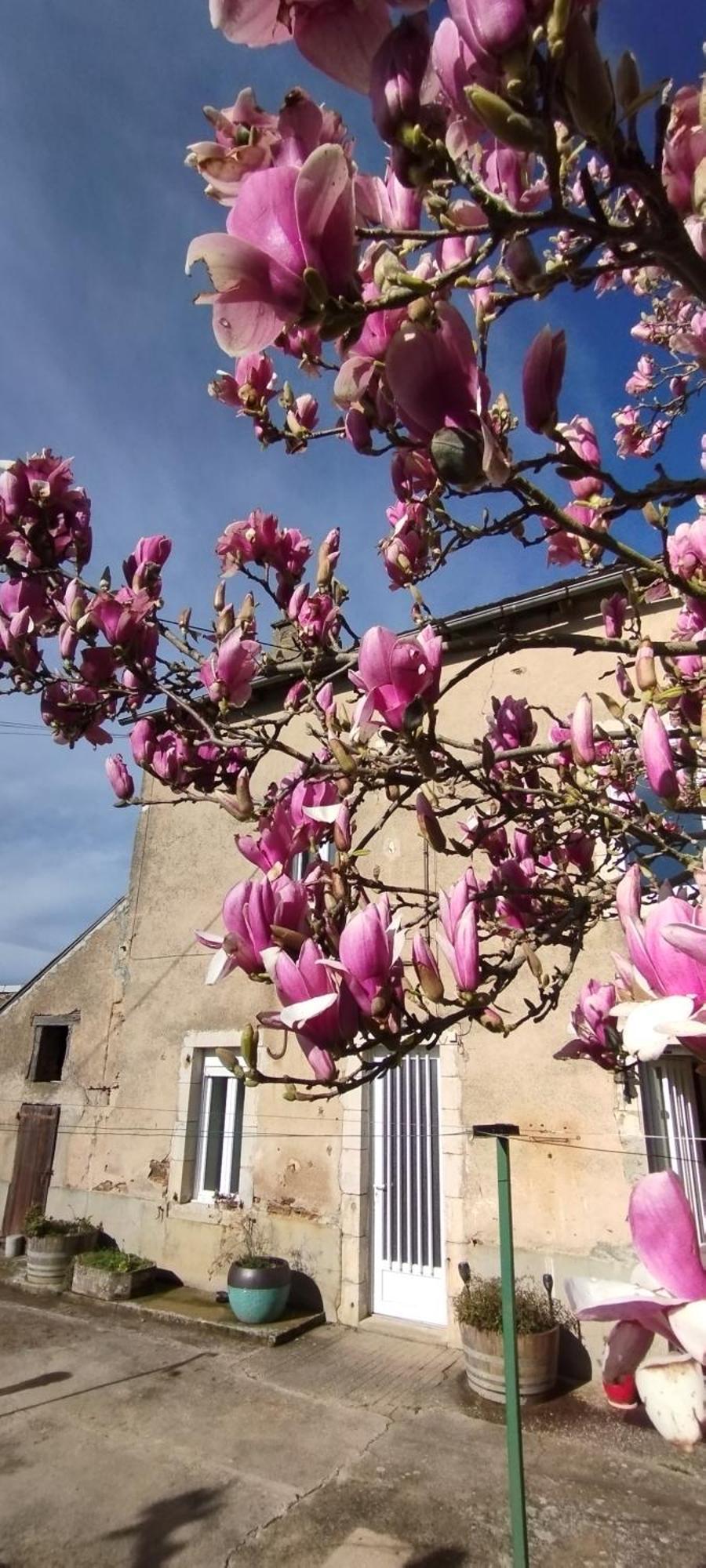 Gite L'Esprit Nature Naucelle エクステリア 写真